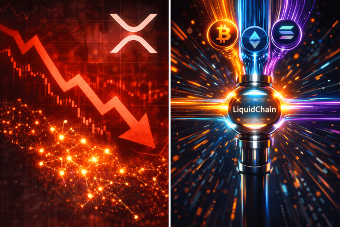 XRP Wallets Surge Regardless of 49% Worth Correction; $LIQUID Enters the Fray
