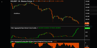 Solana Worth Drops, However Open Curiosity Indicators Rising Exercise