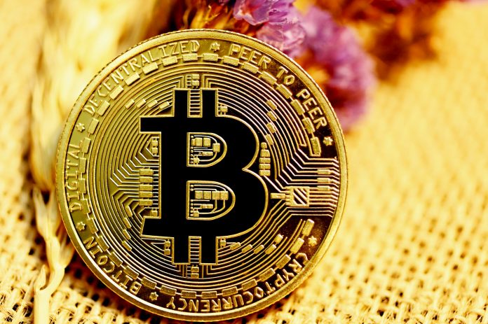 Bitcoin Sharpe Ratio Sinks To Historic Lows — Accumulation Subsequent? Bitcoin Sharpe Ratio Sinks To Historic Lows — Accumulation Subsequent?