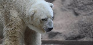 Crypto Business Set For Large Shakeups, Large Consolidation Anticipated: CEO