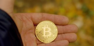 Bitcoin Trapped In Bear Market Woes As Liquidity Runs Dry, Is One other Crash Coming?