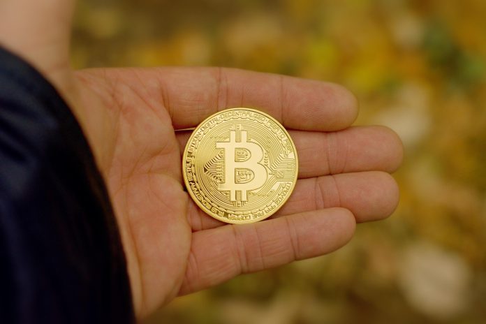 Bitcoin Trapped In Bear Market Woes As Liquidity Runs Dry, Is One other Crash Coming? Bitcoin Trapped In Bear Market Woes As Liquidity Runs Dry, Is One other Crash Coming?