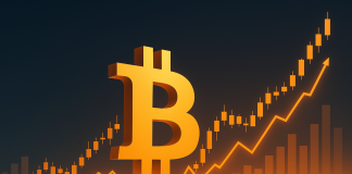 Is The Bitcoin Backside In? Main On-Chain Analyst Sees A Flooring Forming