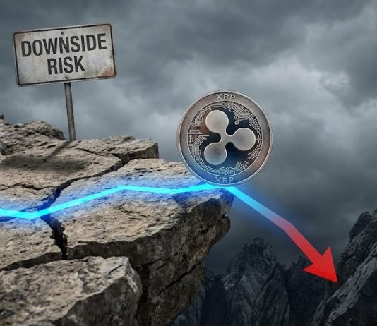 XRP Worth Walks a Tightrope As Draw back Menace Persists