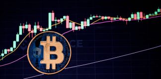 Bitcoin Eyes Untapped Liquidity: $64,000 Assist May Be Subsequent Goal