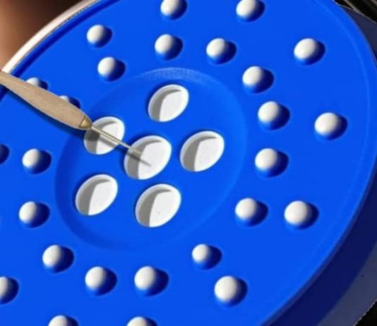 Cardano Worth Prediction: ADA Assessments Crucial $0.27 Assist as Analysts Warn of $0.22 Liquidity Sweep Danger