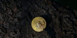 Bitcoin Ought to Be Flying—As an alternative, Quantum Threat Retains It Grounded: Analyst