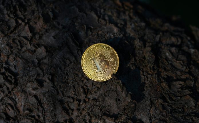 Bitcoin Ought to Be Flying—As an alternative, Quantum Threat Retains It Grounded: Analyst