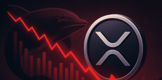 Can XRP Maintain Above $1? Token Tumbles 11% as Breakdown Fuels Crash Issues