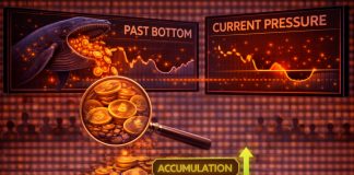 Ethereum Whale Losses Mirror Previous Bottoms: Accumulation Continues Regardless of Strain