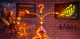 Bitcoin Miners Pull 36Okay BTC From Exchanges In Weeks: What Comes Subsequent?