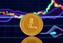 Can Litecoin Value Bounce To $285? This Pattern Maps Out 5 Main Ranges