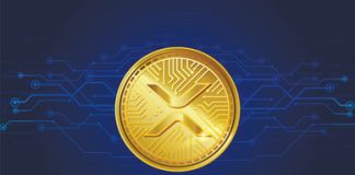 Why This Knowledgeable Is Predicting A $10,000 Base Value For XRP