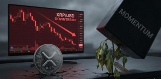 XRP Worth Draw back Momentum Builds Amid Fading Restoration Hopes