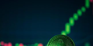 Bitcoin’s 2-Yr Sample Revealed: 12 Inexperienced Months Out Of 24