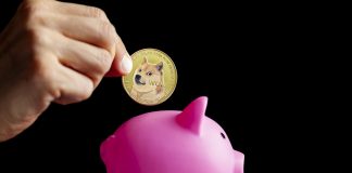 Dogecoin Worth Faces Important Check As $0.074 Help Comes Into Focus