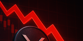 XRP Data Worst Weekly Drop Since 2022, Analysts Sign Potential Shakeout Earlier than Q2 Transfer