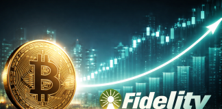 Constancy Thinks Bitcoin Might Be Leaving Its 80% Crashes Behind