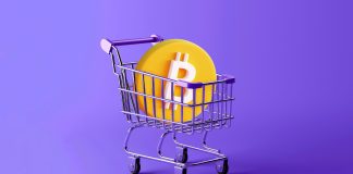 Lengthy-Time period Bitcoin Holders Purchase $14 Billion In BTC As Retail Headed For The Exit