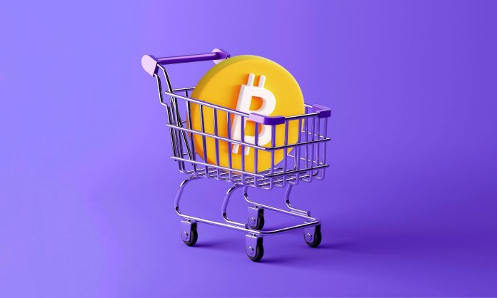 Lengthy-Time period Bitcoin Holders Purchase $14 Billion In BTC As Retail Headed For The Exit
