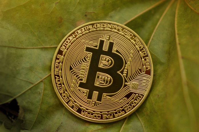 Bitcoin Rally Might Be Setting Up A Macro Decrease Excessive, Analyst Says