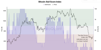 Bitcoin’s Transient Rally Isn’t The Finish Of The Bear Market, Analysts Say