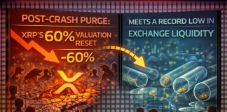 Submit-Crash Purge: XRP’s 60% Valuation Reset Meets a File Low in Trade Liquidity