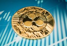 Pundit Says XRP Value May Attain $1,000 By Finish Of 2026 If This Occurs