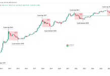 Bitcoin Bear Market May Be Shrinking, However Are We Watching Historical past Repeating Itself? Bitcoin Bear Market May Be Shrinking, However Are We Watching Historical past Repeating Itself?