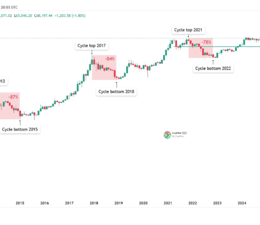 Bitcoin Bear Market May Be Shrinking, However Are We Watching Historical past Repeating Itself?