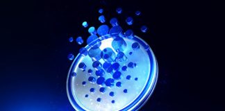 Cardano Pink Month Is Far From Over: Analyst Predicts Crash To This Goal