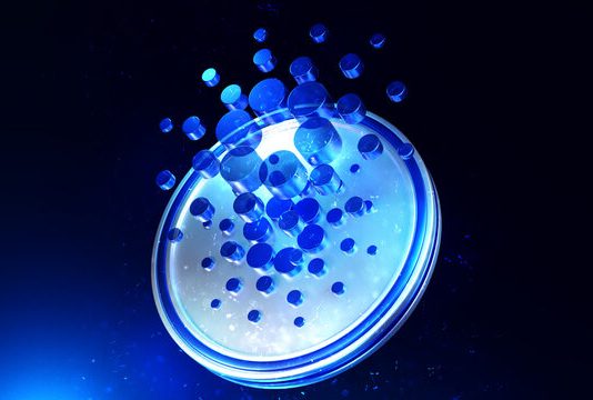 Cardano Pink Month Is Far From Over: Analyst Predicts Crash To This Goal