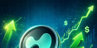 What’s Fueling Hyperliquid’s Surge? HYPE Outperforms Prime 100 Cryptos In Newest Rally