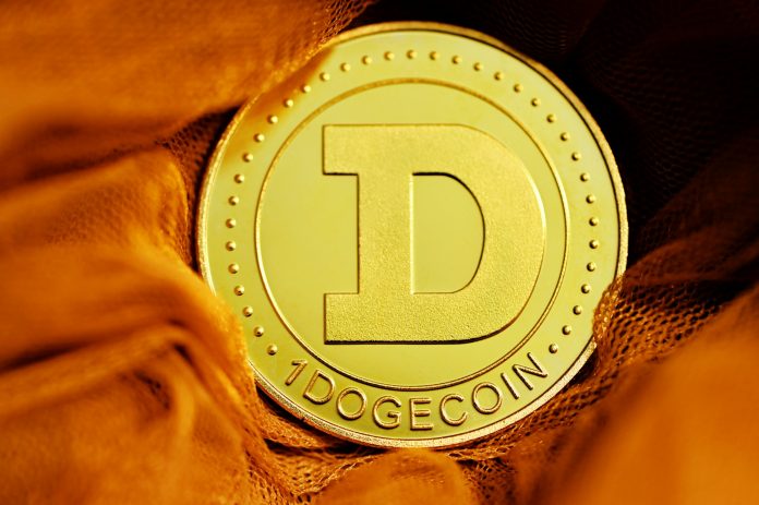Dogecoin Dangers Extra Ache As Value Retests Essential Help – Analyst Warns Of 37% Breakdown