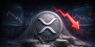 XRP Buying and selling Curiosity Fades: Change Transactions Fall To Historic Lows