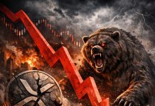 High Analyst Suggests Solana Might Surpass XRP In Market Worth: Right here’s Why And When