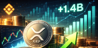 XRP Accumulation Sign? Binance Withdrawals Bounce, ETF Demand Grows