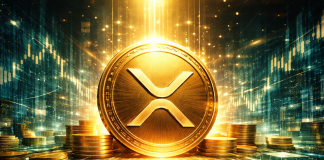 XRP Detrimental Funding Continues, Crashes To Ranges Not Seen Since 2022