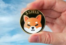 Don’t Maintain Your Breath: AI Prediction Says Shiba Inu Gained’t Hit All-Time Excessive This 12 months