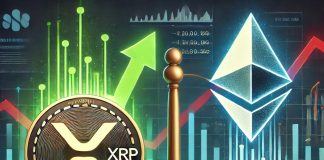 Not XRP Or Ethereum: You Gained’t Imagine The Community With The Highest Quantity Of RWA Customers