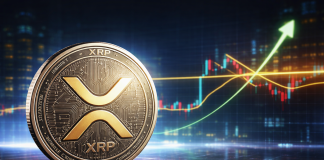 This XRP Degree Is ‘The place Every thing Modifications,’ Analyst Says