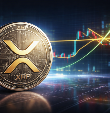 This XRP Degree Is ‘The place Every thing Modifications,’ Analyst Says