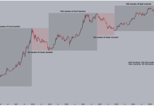 Bitcoin Crash Far From Over? Analyst Shares How Painful Bear Markets Can Get