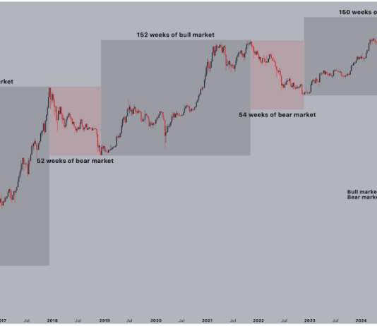 Bitcoin Crash Far From Over? Analyst Shares How Painful Bear Markets Can Get