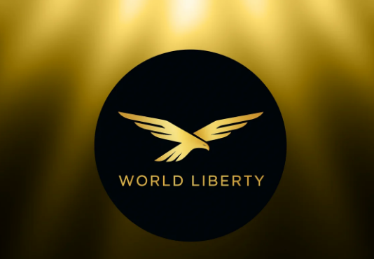 WLFI Holders Face New 6-Month Lockup Rule To Achieve Voting Energy