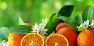 One other Bitcoin Purchase Coming? Saylor Sparks Hypothesis With ‘Orange Dots’ Submit