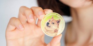 Analyst Says Ignore The Noise, Dogecoin Is Nonetheless In The Sport, And This Is Why