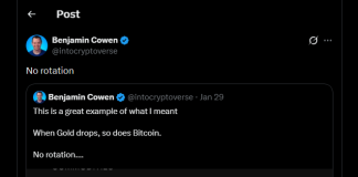 Bitcoin Positive factors Floor On Gold Even As Each Belongings Slide
