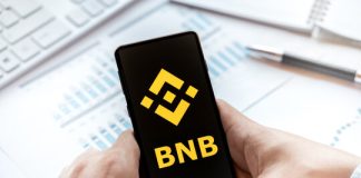 BNB Worth To Break $3,000? Crypto Dealer Shares Sport Plan For 500% Rally