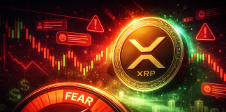 XRP Worth Is Sustaining This Multi-12 months Trendline, However A Crash Might Be Looming